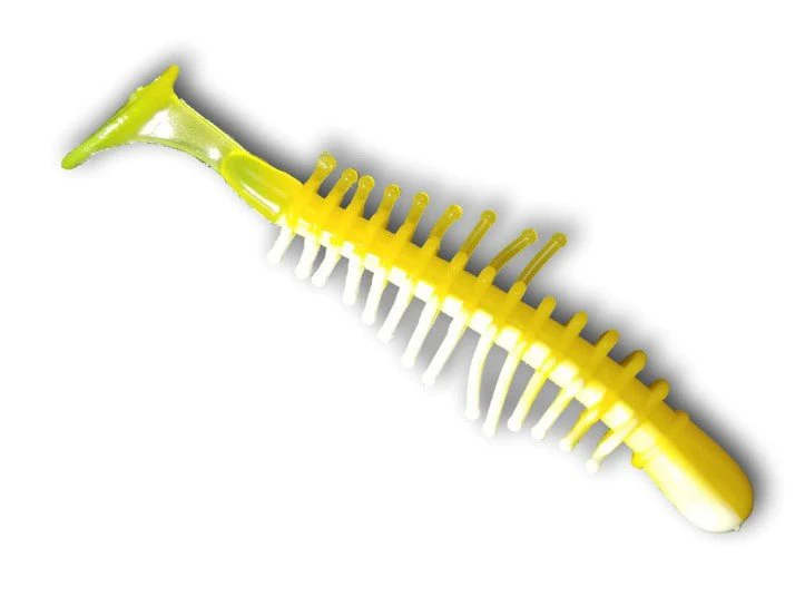 TICKLE SHAD - Image 11