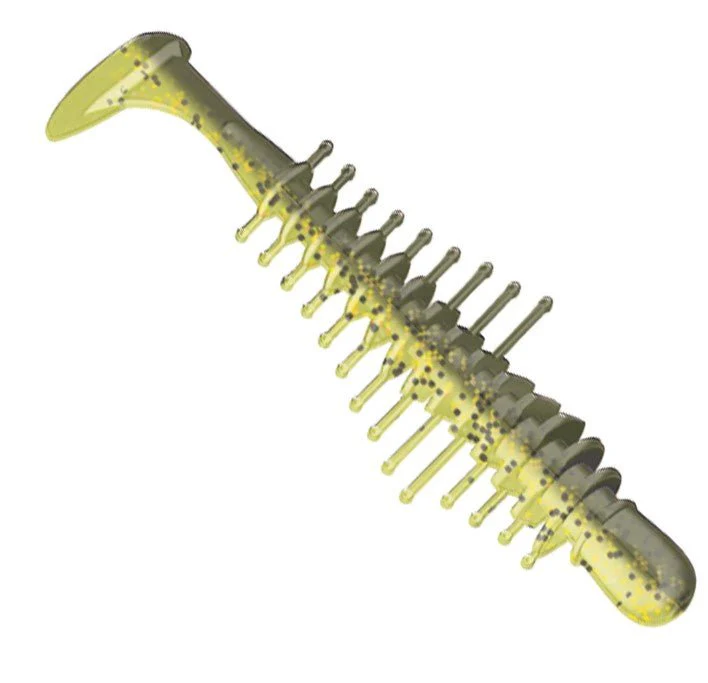 TICKLE SHAD - Image 6