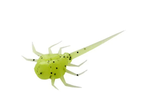 COCCONUT CRAB - Image 4