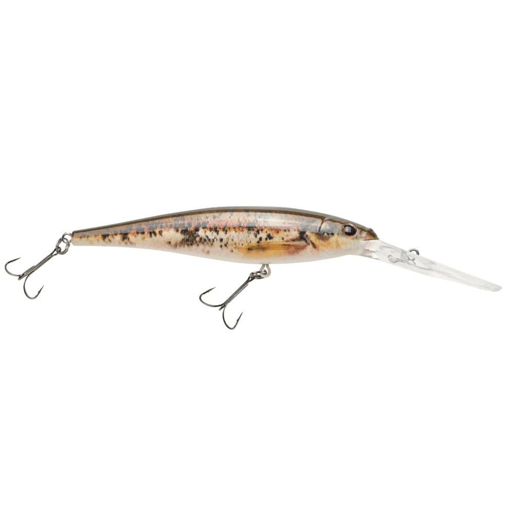 FLICKER MINNOW - Image 20