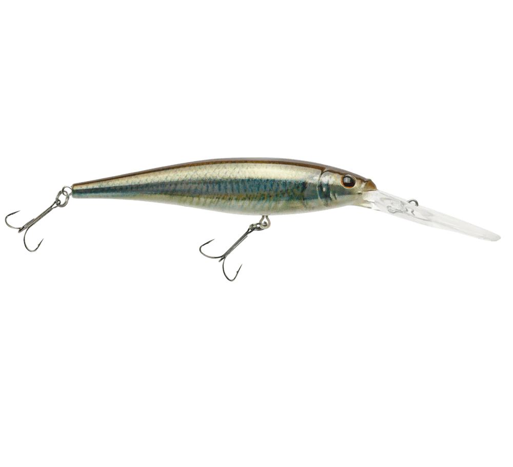 FLICKER MINNOW - Image 24