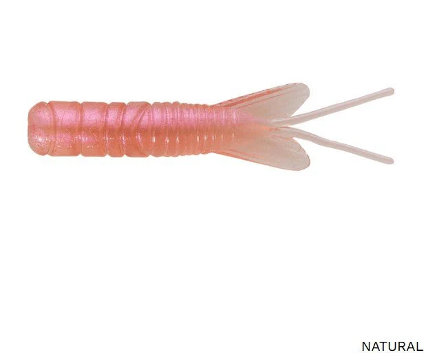 PAN-CANDY LARVAE BUG - Image 5