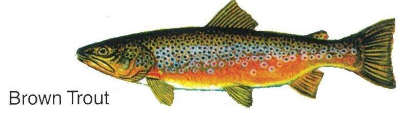 PIN PALS PINS - Image 14