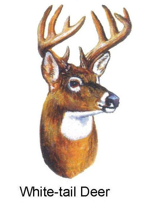 PIN PALS PINS - Image 2