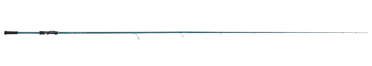 RAYFIN SPINNING - Image 2