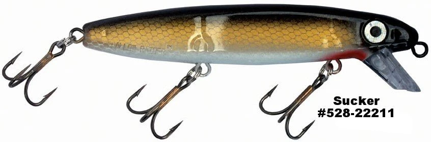 SHALLOW RAIDER - Image 14