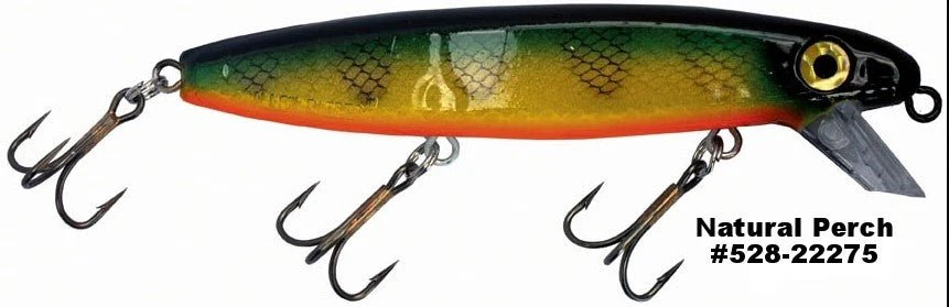 SHALLOW RAIDER - Image 15