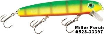 SHALLOW RAIDER - Image 22